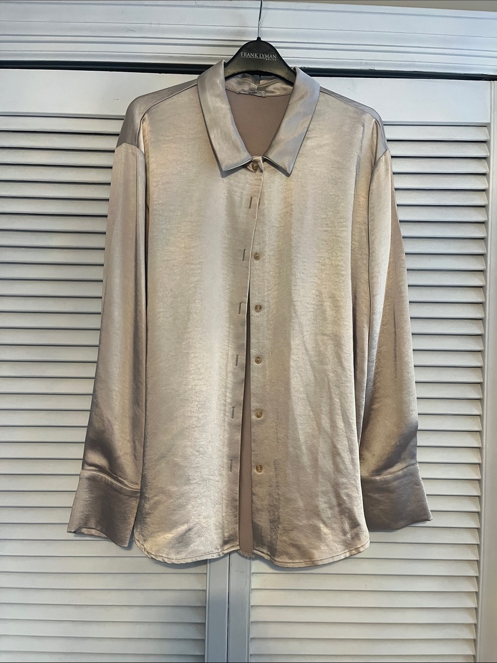 Silky Button-Up Shirt in Champagne by Mystree